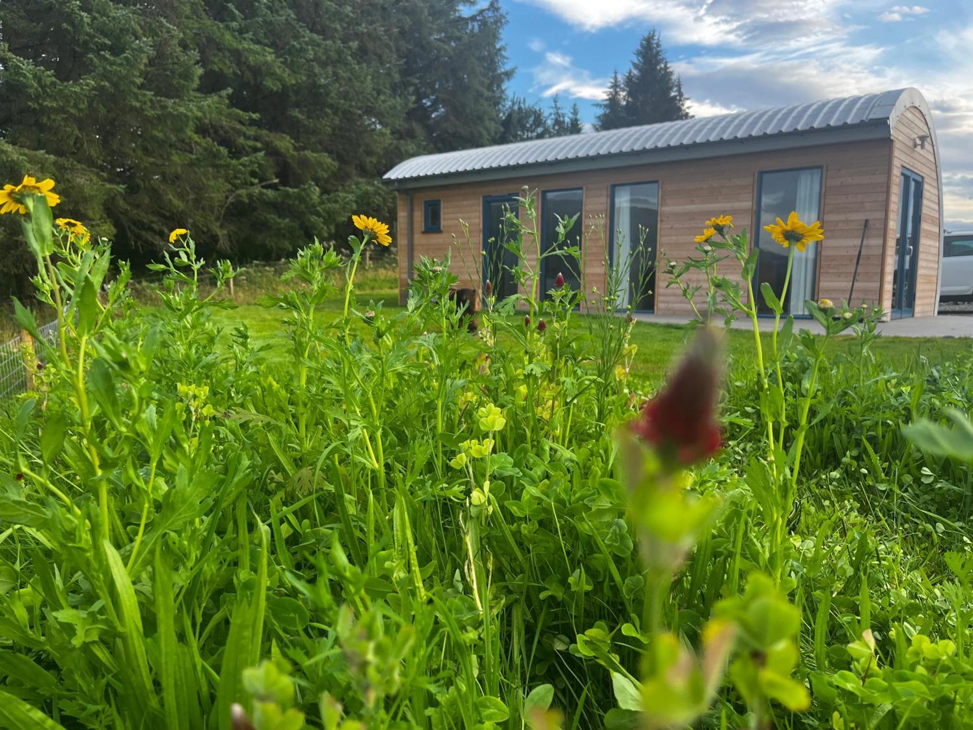 Ceo Mara Croft B&B & 2 Luxury Cabins Taynuilt Exterior photo