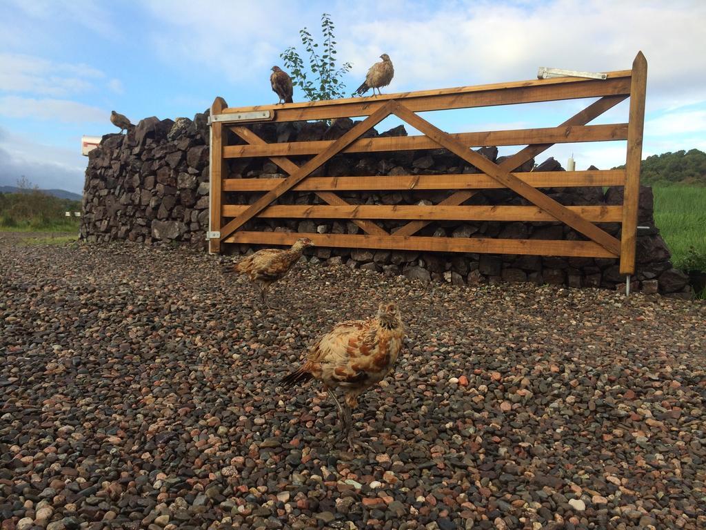 Ceo Mara Croft B&B & 2 Luxury Cabins Taynuilt Exterior photo